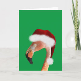 Tarjeta Festiva Foto de un flamingo rosa con un sombrero rojo de S
