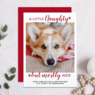 Tarjeta Festiva Foto de un pequeño Mascota de perro personalizado