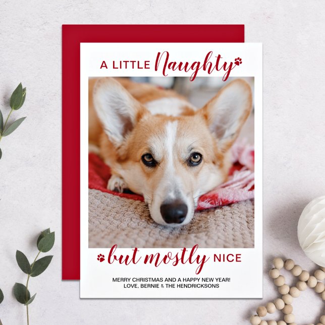 Tarjeta Festiva Foto de un pequeño Mascota de perro personalizado (Subido por el creador)