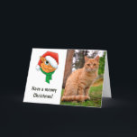 Tarjeta Festiva Foto del gato de los navidades<br><div class="desc">Navidades educados santa navidades de gatos saludando tarjeta de foto de vacaciones.</div>