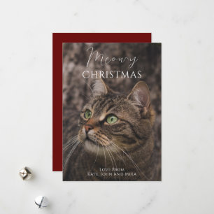 Tarjeta Festiva Foto del gato de Meowy Navidades