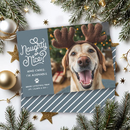 Tarjeta Festiva Foto divertida de perro o gato lindo y travieso