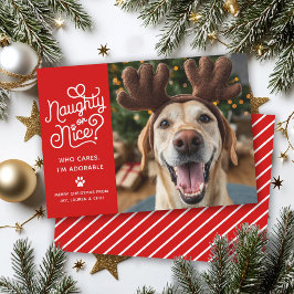 Tarjeta Festiva Foto divertida de perro o gato mascota linda en Na
