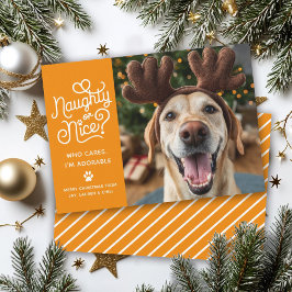 Tarjeta Festiva Foto divertida de perro o gato mascota lindo travi