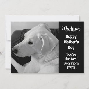 Tarjeta Festiva Foto en Blanco y Negro de Perro Adorable Día de la