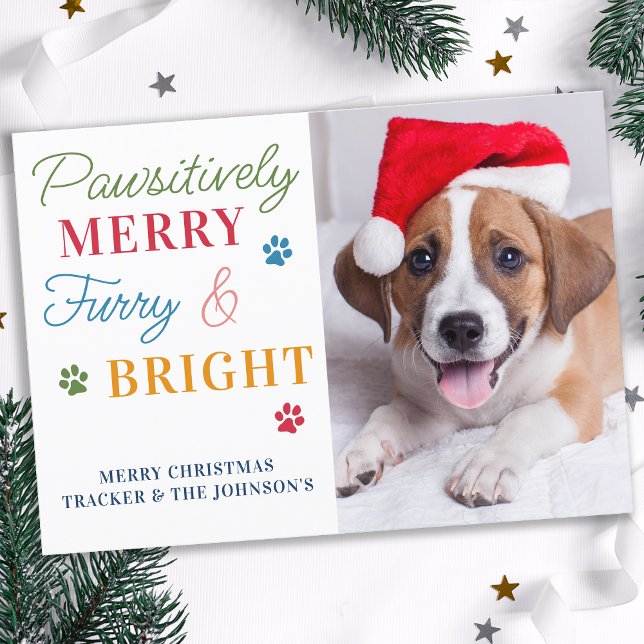Tarjeta Festiva Foto mascota Graciosa Navidades de perros felinos  (Subido por el creador)