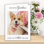 Tarjeta Festiva Foto Mascota personalizada de la abuela de perro l<br><div class="desc">¡Feliz cumpleaños a la mejor abuela del perro de todos los tiempos! ¡Dale a la abuela una linda y graciosa tarjeta de foto personalizada de su mejor nieto, el perro! "Eres La Abuela Que Tenían Todos Los Deseos De Los Perros. ... ... Feliz cumpleaños, abuela, amor al perro" Personaliza el...</div>
