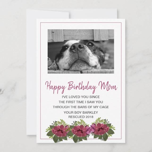 Tarjeta Festiva Foto Perro Feliz cumpleaños, mamá de perro de resc (Anverso)