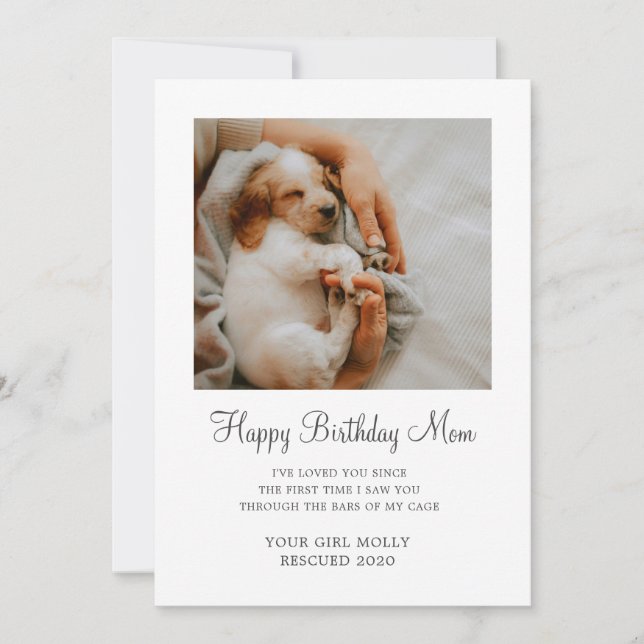 Tarjeta Festiva Foto Perro Feliz cumpleaños, mamá de perro de resc (Anverso)