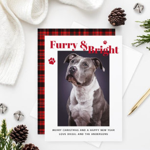 Tarjeta Festiva Foto Personalizada de Mascota Peluda y Cuadro Esco