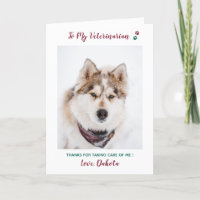 Foto personalizada de Mascota veterinario de cuida