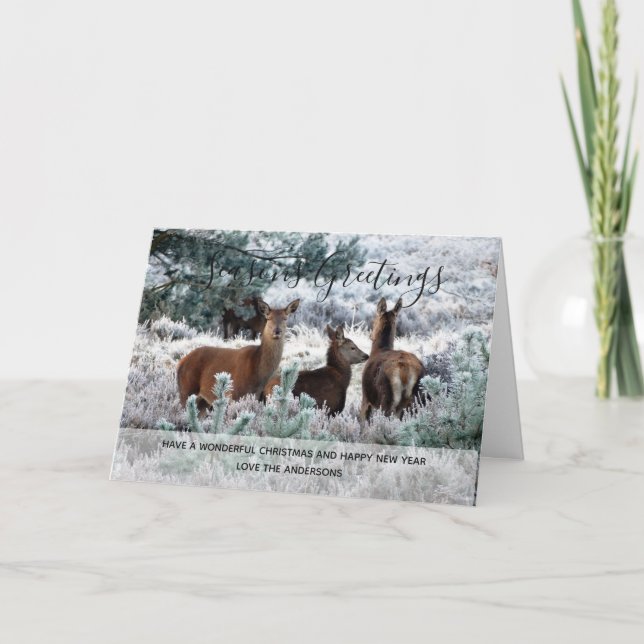 Tarjeta Festiva Foto personalizada de Navidades de nieve de venado (Anverso)
