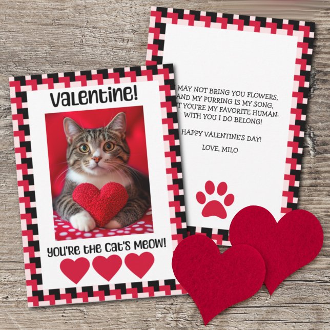 Tarjeta Festiva Foto personalizado de Valentine Card del gato (Subido por el creador)