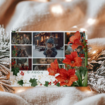 Foto Rustic Red Amaryllis Navidades