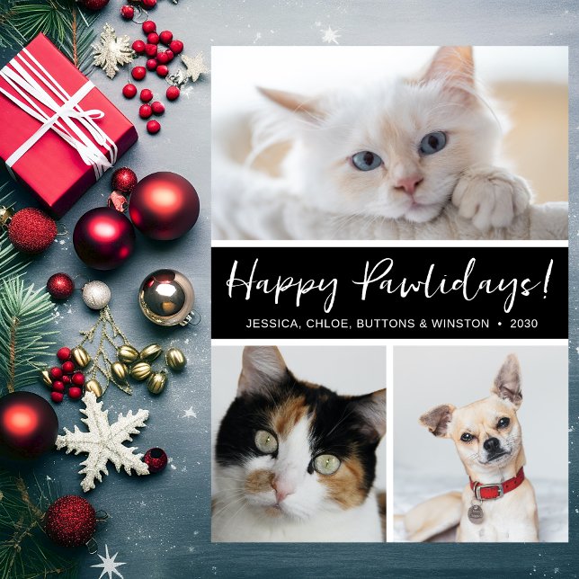 Tarjeta Festiva Fotografía de Happy Pawlidays (Subido por el creador)