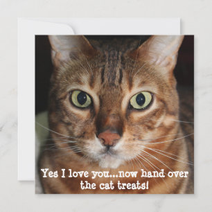 Tarjeta Festiva Fotografía de la cara de gato Bengalí "Sí, te amo.
