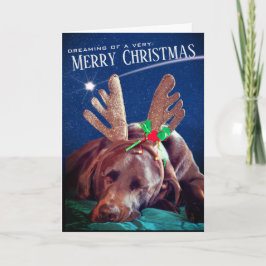 Tarjeta Festiva Fotografía de Labrador de Chocolate Soñando con Cu