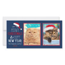 Fotografía de Meowy Navidades Cat 2