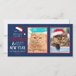 Tarjeta Festiva Fotografía de Meowy Navidades Cat 2