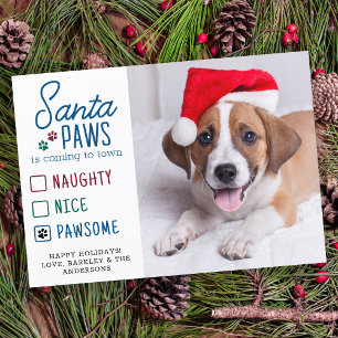 Tarjeta Festiva Fotografía de perro Mascota lindo y malvado de San