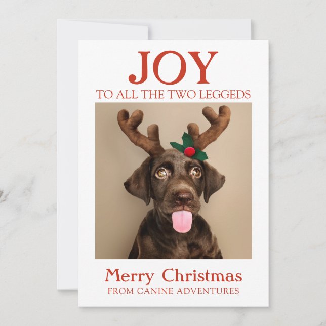 Tarjeta Festiva Fotografía del perro de las vacaciones felices de  (Anverso)