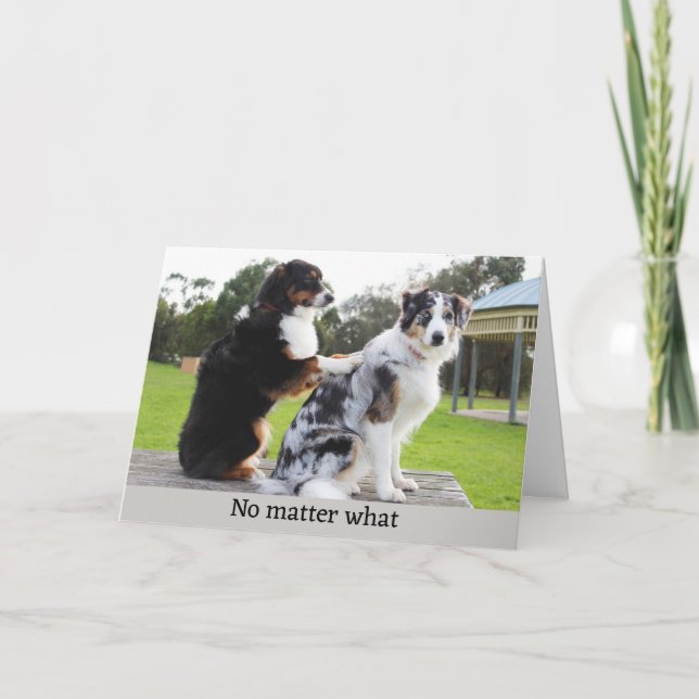 Tarjeta Festiva Fotografía divertida del masaje de perros (Anverso)