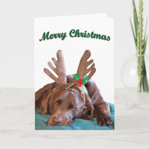 Tarjeta Festiva Fotografía personalizada de Labrador de chocolate