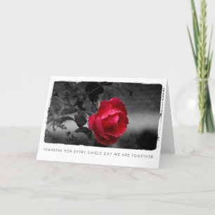 Tarjeta Festiva fotografía rosa de valentines