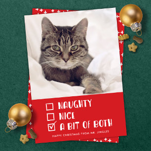 Tarjeta Festiva Fotos de festividad Mascota traviesa, buena o dive