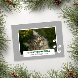 Tarjeta Festiva Fotos de las pinturas blancas de Gato de Feliz Nav