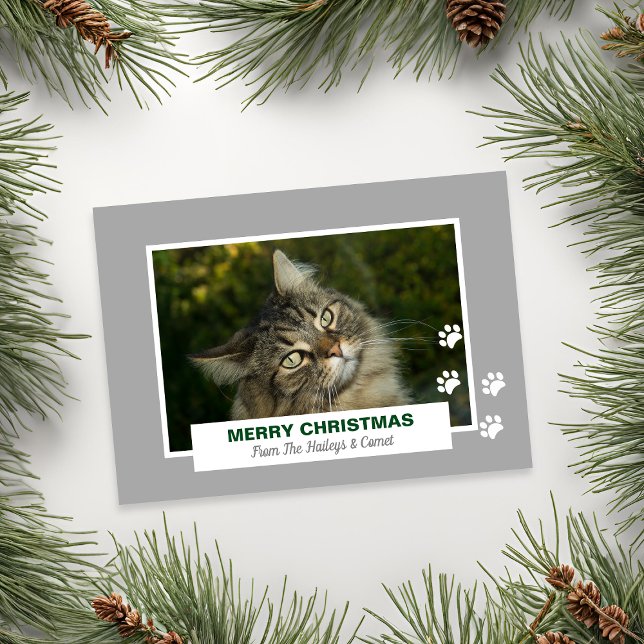 Tarjeta Festiva Fotos de las pinturas blancas de Gato de Feliz Nav (Merry Christmas Cat White Paw Prints Photo Holiday Card)