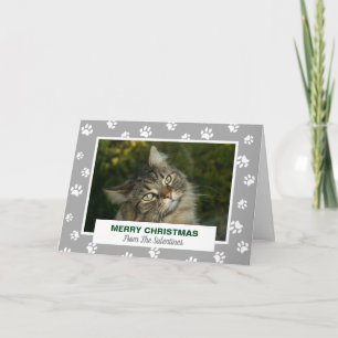 Tarjeta Festiva Fotos de Mascotas de pintura blanca de Gato de Fel
