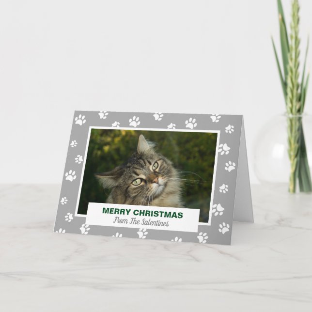 Tarjeta Festiva Fotos de Mascotas de pintura blanca de Gato de Fel (Anverso)