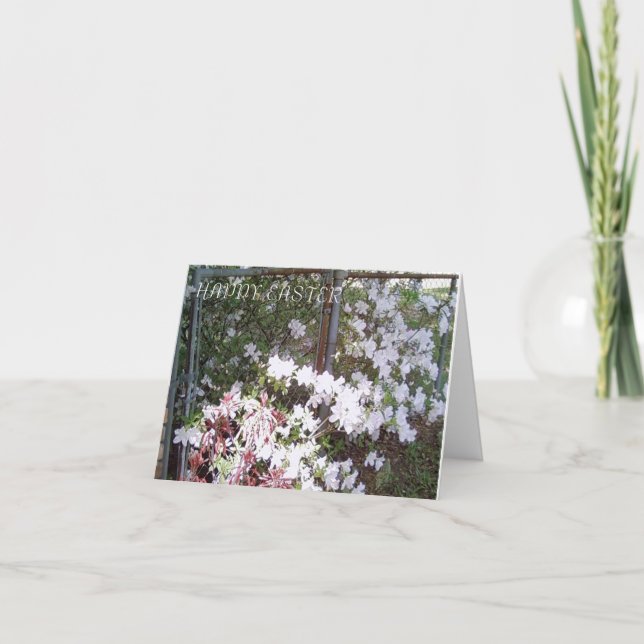 Tarjeta Festiva Fotos de MClairArt en notecnológicos de Pascua de  (Anverso)