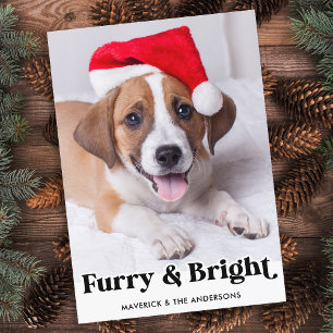 Tarjeta Festiva Fotos de perros Mascotas simples y brillantes
