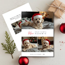 Tarjeta Festiva Fotos divertidas de perros definen malos saludos d