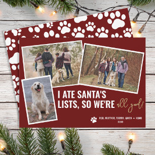 Tarjeta Festiva Fotos Divertidas de Perros Foto Personalizada de N