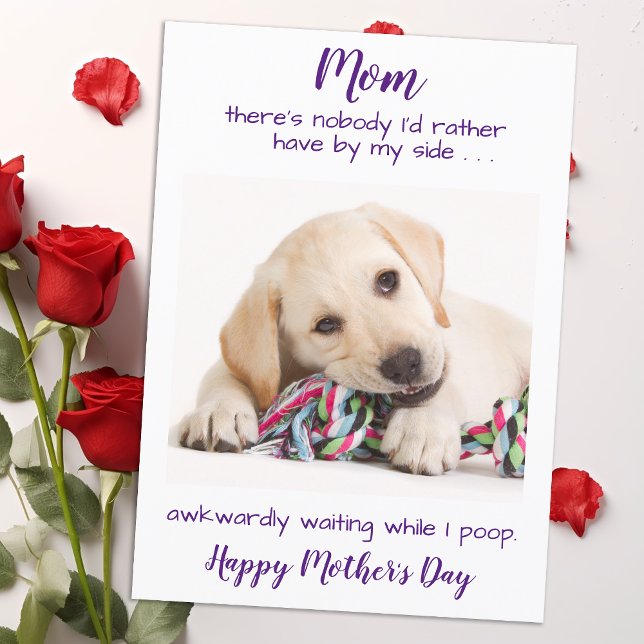 Tarjeta Festiva Fotos divertidas Mascotas Día de la Madre de mamá  (Subido por el creador)