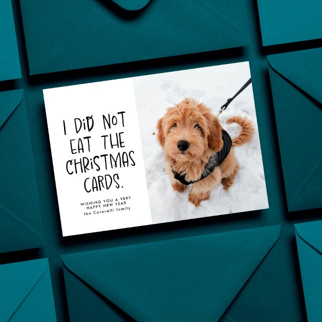Tarjeta Festiva Fotos divertidas y lindas mascotas en blanco y neg (Subido por el creador)