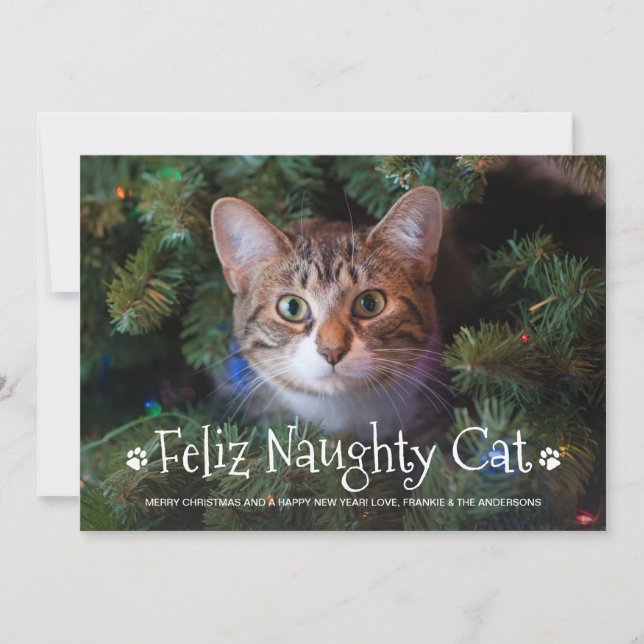 Tarjeta Festiva Fotos Mascotas personalizadas de Feliz Gato (Anverso)