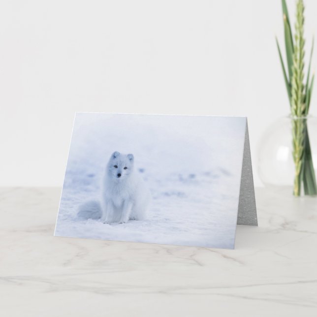 Tarjeta Festiva Fox ártica sentada en la nieve (Anverso)
