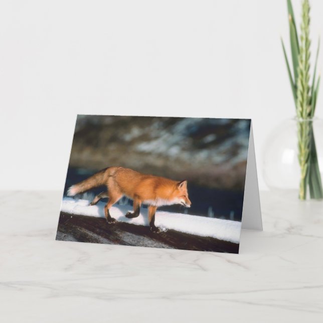 Tarjeta Festiva Fox Corre En Nieve (Anverso)