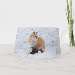 Tarjeta Festiva Fox en cascada de nieve