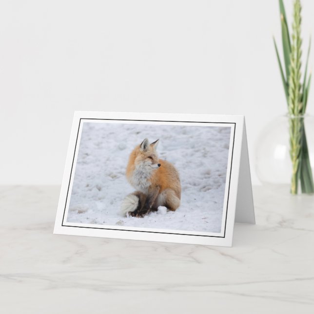 Tarjeta Festiva Fox en cascada de nieve (Anverso)