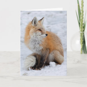 Tarjeta Festiva Fox en cascada de nieve