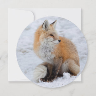 Tarjeta Festiva Fox en cascada de nieve