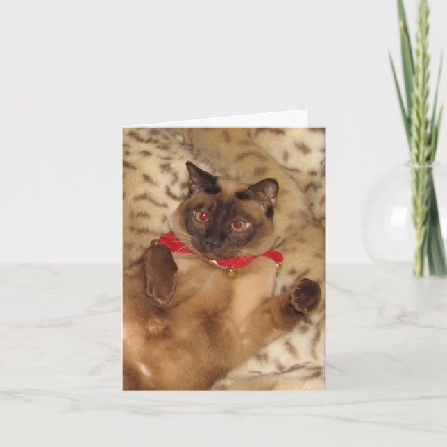 Tarjeta Festiva FPG Xmas Tonkinese 2 - (Anverso)