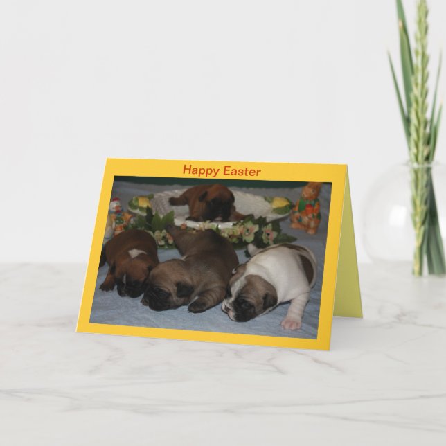 Tarjeta Festiva Französische Bulldoggen Ostern French Bulldog (Anverso)