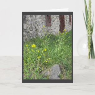 Tarjeta Festiva . .from el padre. 3