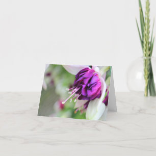 Tarjeta Festiva Fucsia II Apenas Púrpura